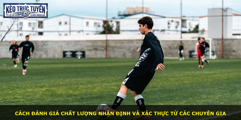 Cách đánh giá chất lượng nhận định và xác thực từ các chuyên gia