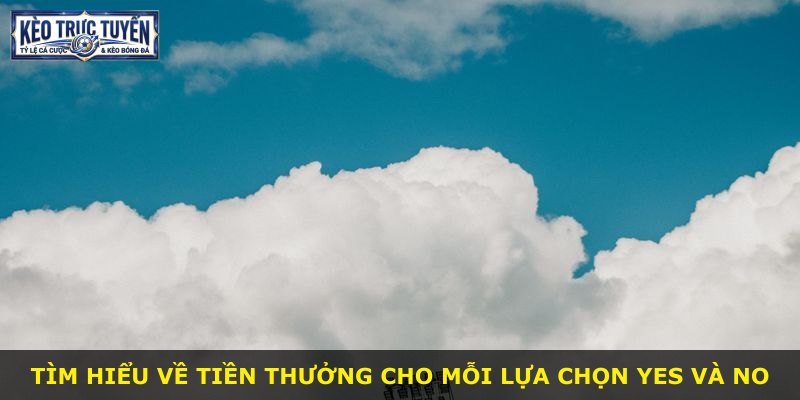 Tìm hiểu về tiền thưởng cho mỗi lựa chọn Yes và No