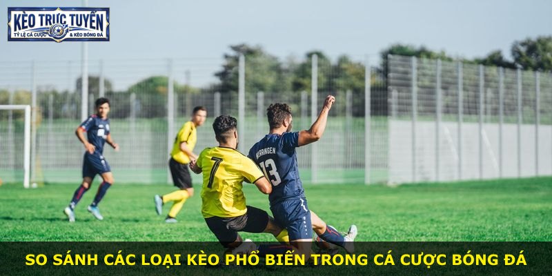 So sánh các loại kèo phổ biến trong cá cược bóng đá