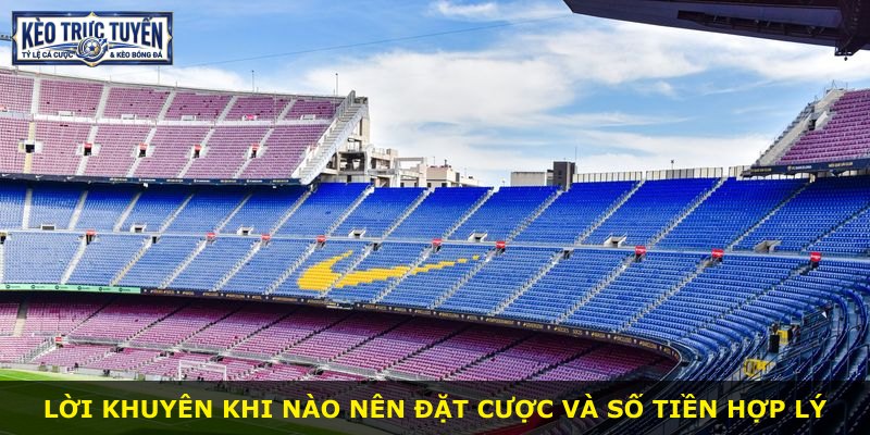 Lời khuyên khi nào nên đặt cược và số tiền hợp lý