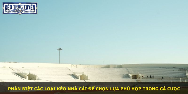 Phân biệt các loại kèo nhà cái để chọn lựa phù hợp trong cá cược
