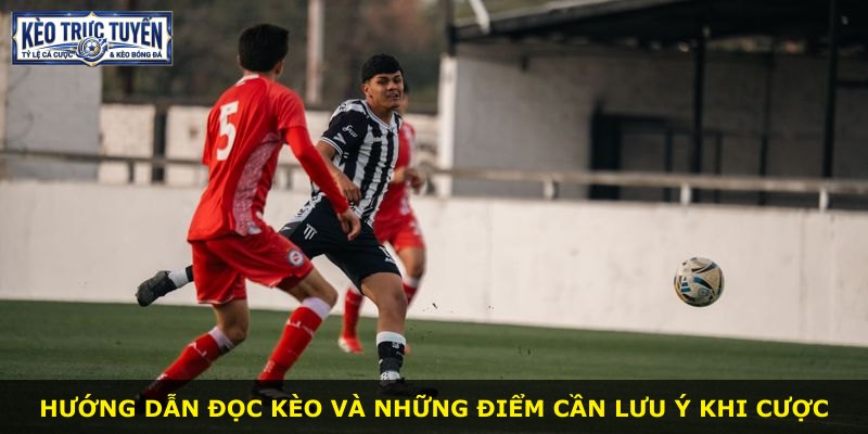 Hướng dẫn đọc kèo và những điểm cần lưu ý khi cược