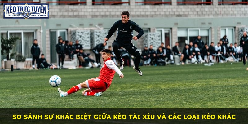 So sánh sự khác biệt giữa kèo tài xỉu và các loại kèo khác