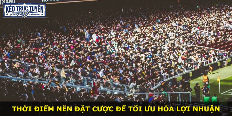 Thời điểm nên đặt cược để tối ưu hóa lợi nhuận
