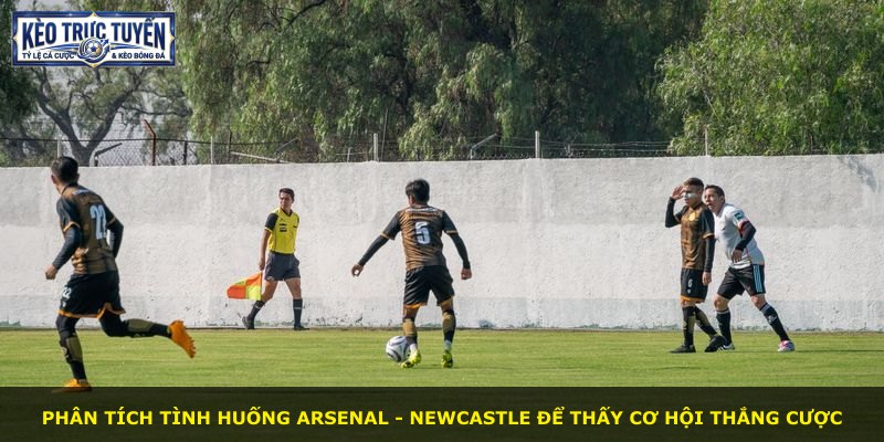Phân tích tình huống Arsenal - Newcastle để thấy cơ hội thắng cược
