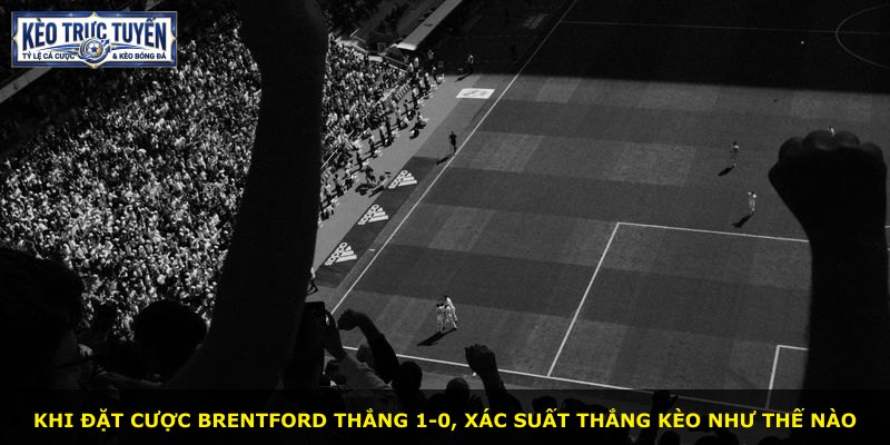 Khi đặt cược Brentford thắng 1-0, xác suất thắng kèo như thế nào