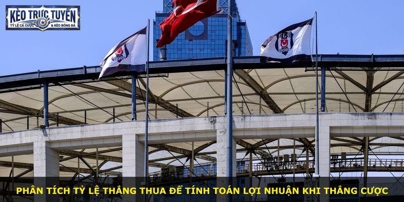 Phân tích tỷ lệ thắng thua để tính toán lợi nhuận khi thắng cược