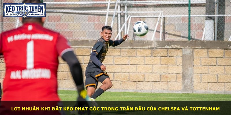 Lợi nhuận khi đặt kèo phạt góc trong trận đấu của Chelsea và Tottenham