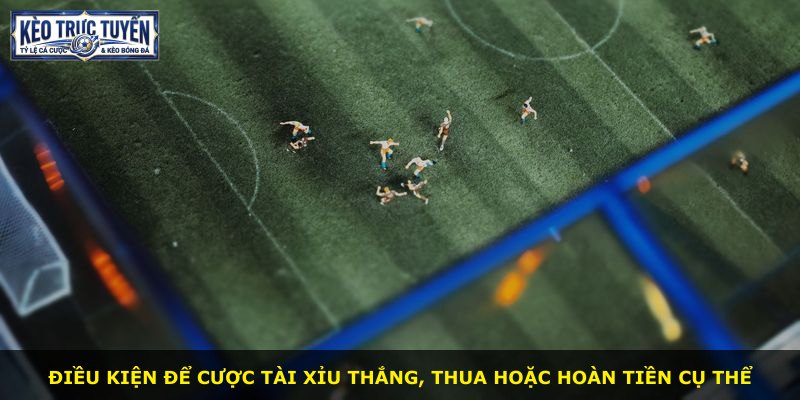 Điều kiện để cược tài xỉu thắng, thua hoặc hoàn tiền cụ thể