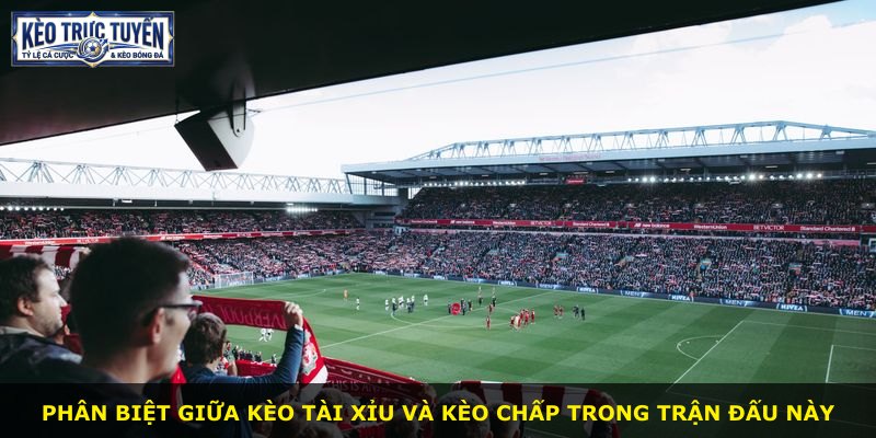 Phân biệt giữa kèo tài xỉu và kèo chấp trong trận đấu này
