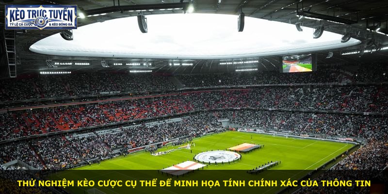 Thử nghiệm kèo cược cụ thể để minh họa tính chính xác của thông tin