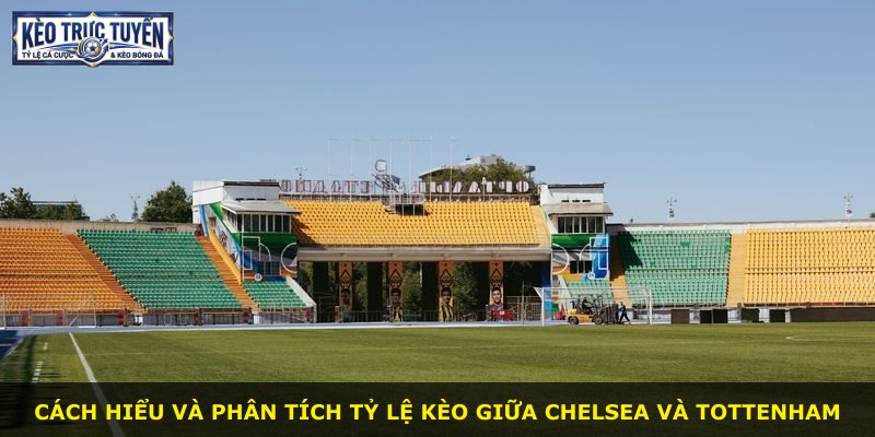 Cách hiểu và phân tích tỷ lệ kèo giữa Chelsea và Tottenham