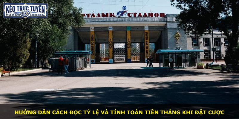 Hướng dẫn cách đọc tỷ lệ và tính toán tiền thắng khi đặt cược