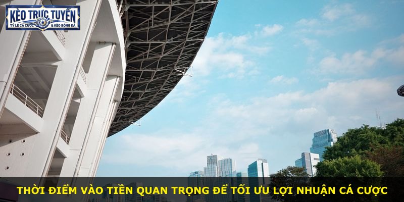 Thời điểm vào tiền quan trọng để tối ưu lợi nhuận cá cược